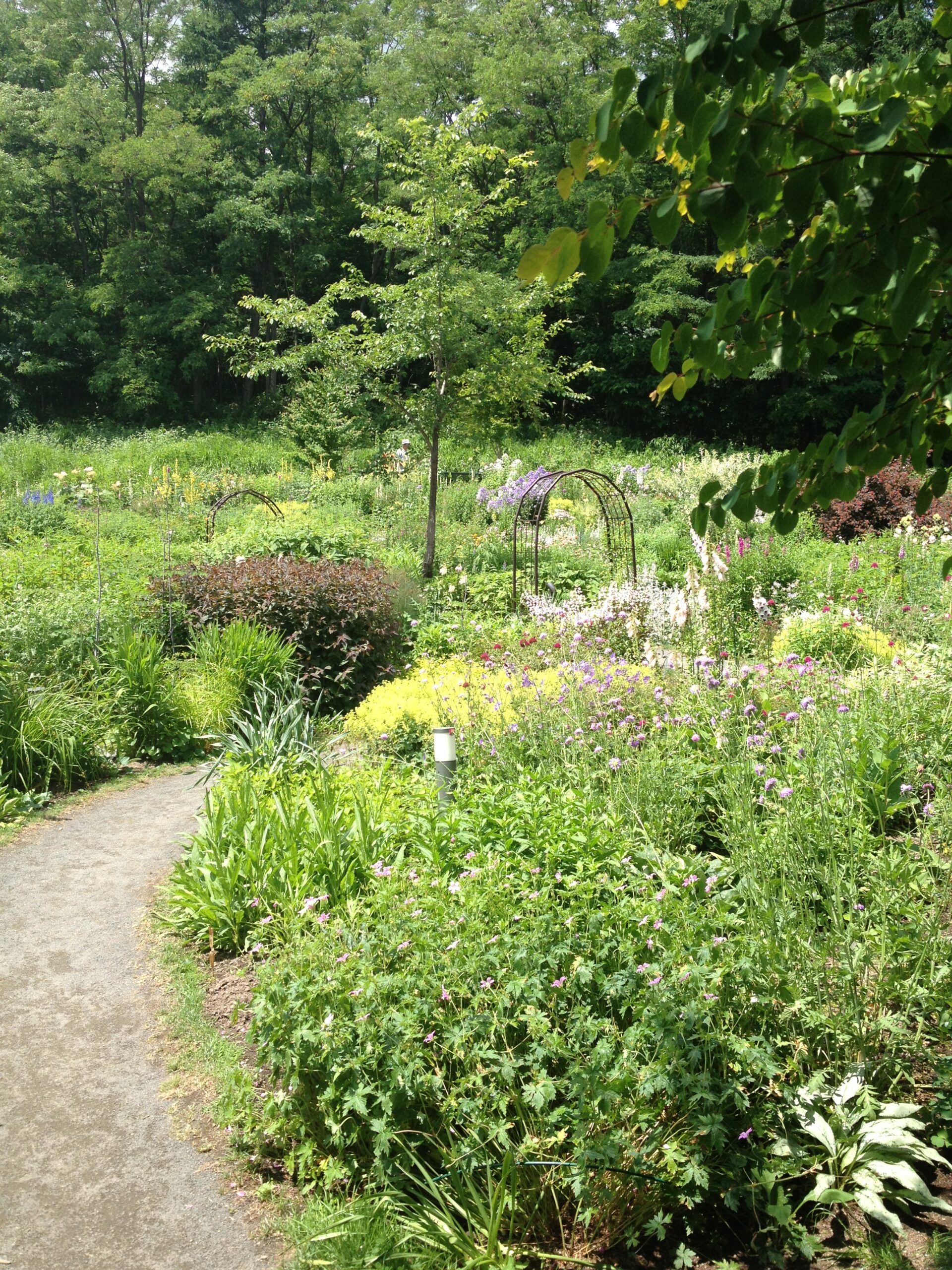 こっそり再始動