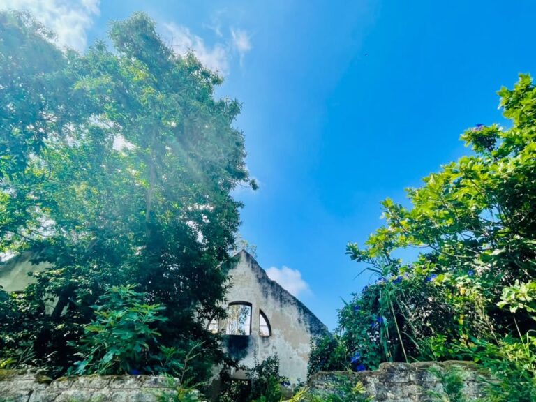 緑に囲まれた古い建物