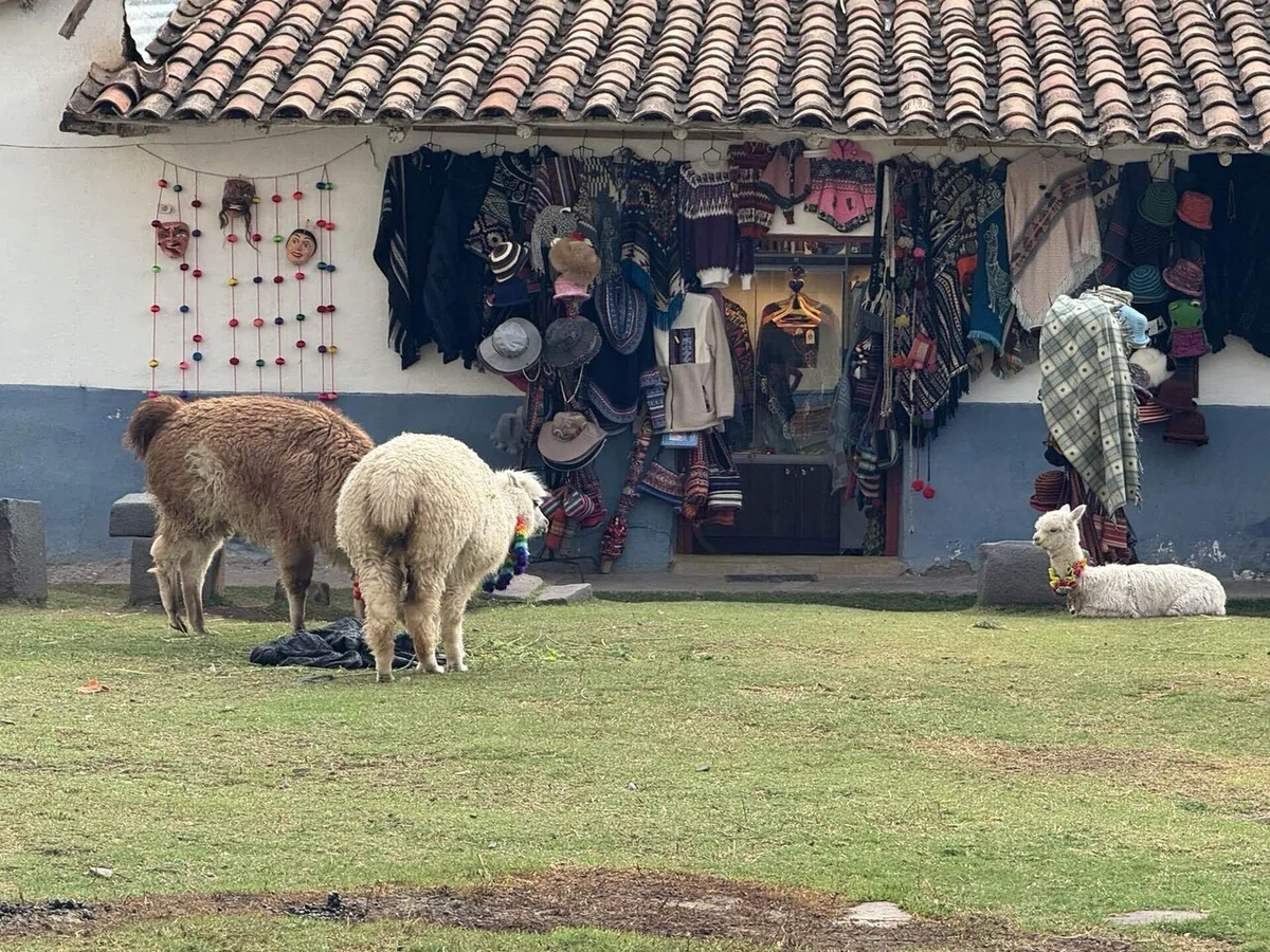 ペルー旅日記