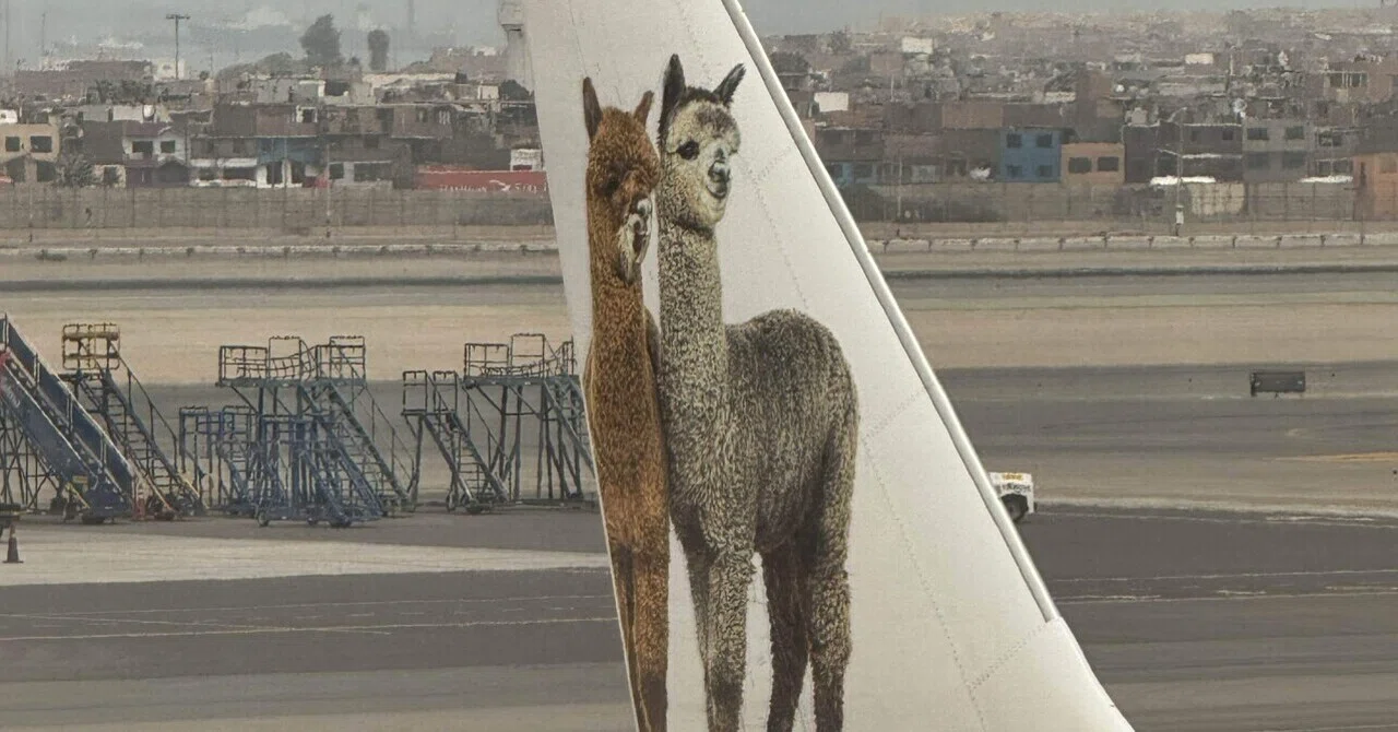 ペルー旅日記