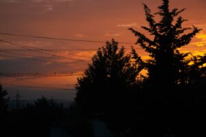 夕暮れの一息