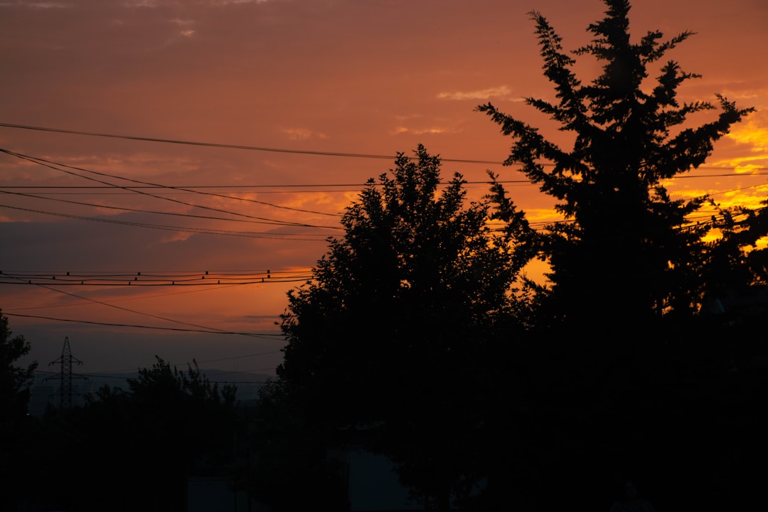 夕暮れの一息
