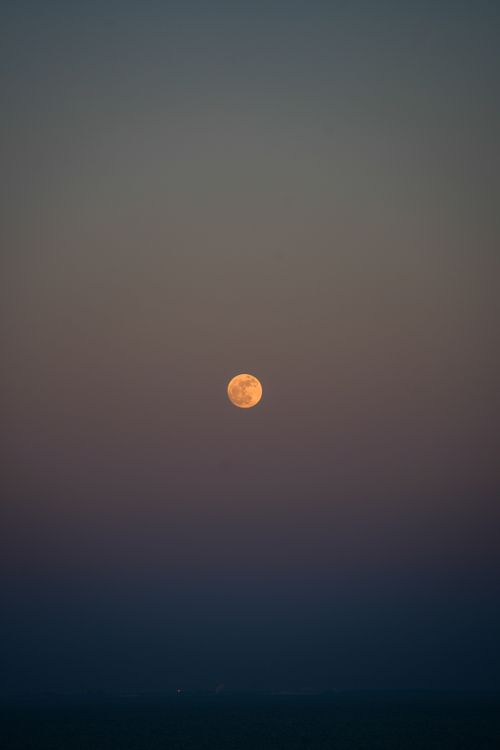 黄昏時の空に浮かぶオレンジ色の満月