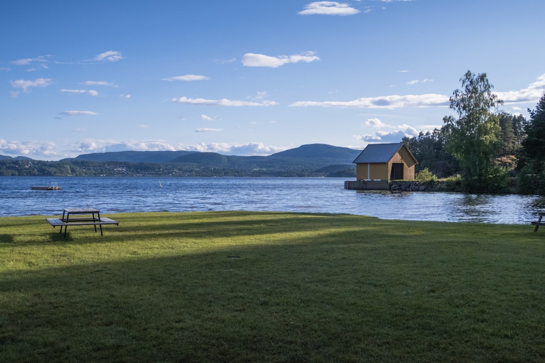 a picnic table sitting on top of a lush green field next to a lake