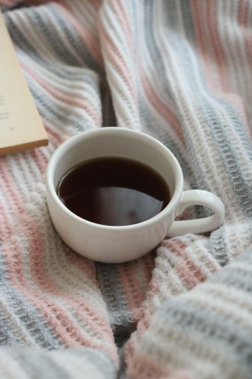 ストライプのブランケットの上の紅茶と本