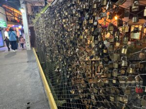 ペルー旅日記