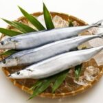 秋刀魚、脂がのるのは南下してから