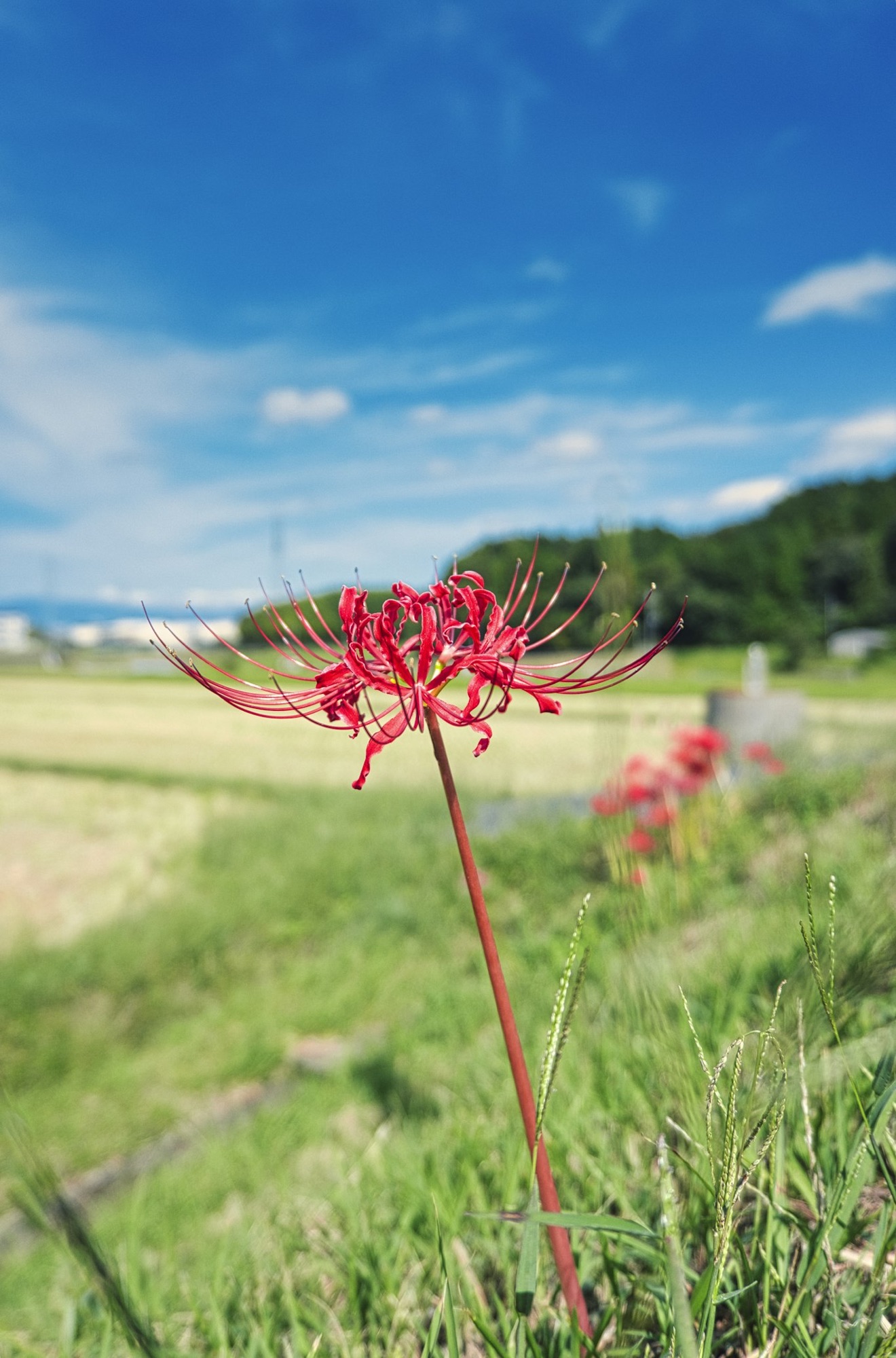 秋分の日、昼が少しだけ長い