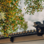 金木犀は、実をつけない木